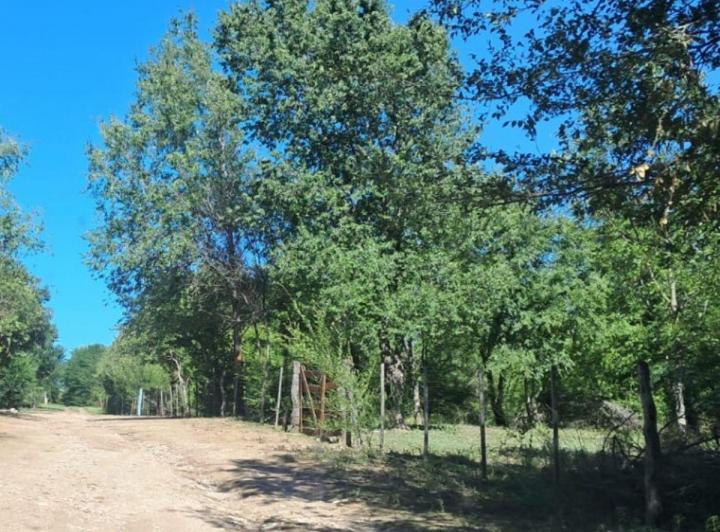Terreno · 2654m²