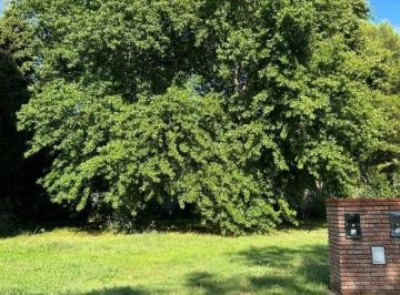 Terreno · 402m² · Los Pinos III - Barrio Cerrado / ¡Lanzamiento! / Lotes en Venta en Barrio Parque Yei Porá