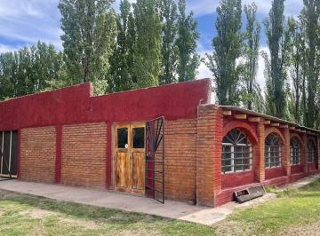 Bodega-Galpón de 4 ambientes, San Rafael · Bodega Boutique Casa y Viñedo a La Venta en San Rafael Mendoza