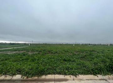 Terreno · 6040000m² · Lote Interno en Barrio Cerrado Elcano, Pueblos del Plata