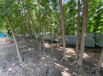 Terreno · 455m² · Venta/permuta - Terreno de 455 m² Orientación Este. Roldán, Santa Fe.