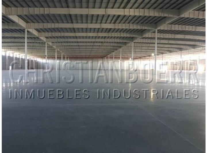 Bodega-Galpón · 10000m² · 1 Ambiente