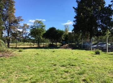 Terreno · 1200m² · Lote Apto Vivienda Multifamiliar en Excelente Ubicación Ideal Para Desarrolladores.