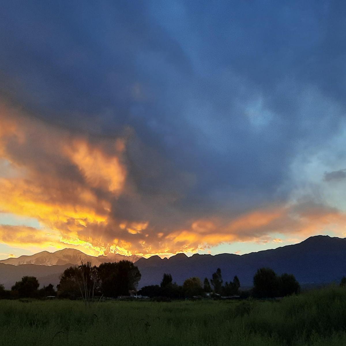 Ruta Provincial 28 10500, El Algarrobal, Mendoza