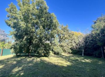 ROJ-ROJ-947_2 · Lote Arbolado en Venta Zona de La Bota Benavidez