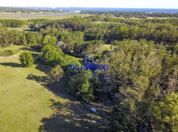 Foto1 · Chacra en Venta en Punta Ballena en Zona Bien Privada y a Pasos de Todo!