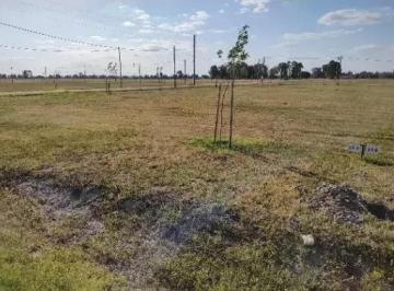 Terreno · 650m² · Terreno en Venta - 650 m² - Finca Joven