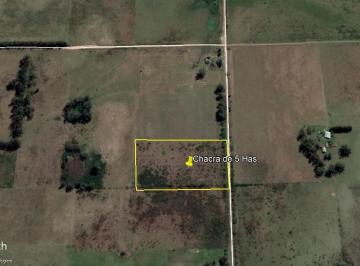 Campo · 45000m² · Chacra - Sarandi