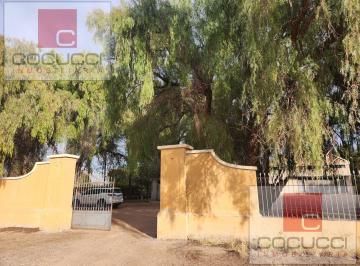 Bodega-Galpón · 1500m² · Bodega y Finca en Excelentes Condiciones en Rivadavia, Mendoza