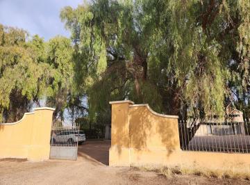 Bodega-Galpón · 1500ha · Bodega y Finca en Excelentes Condiciones en Rivadavia, Mendoza