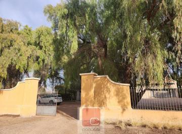 Bodega-Galpón · 1294000ha · Bodega y Finca en Excelentes Condiciones en Rivadavia, Mendoza