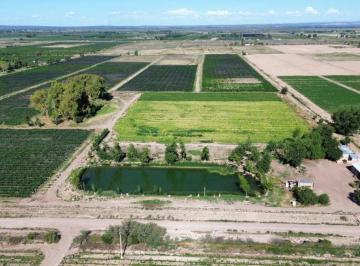 Campo , Ugarteche · Finca 32ha Urgarteche Luján de Cuyo