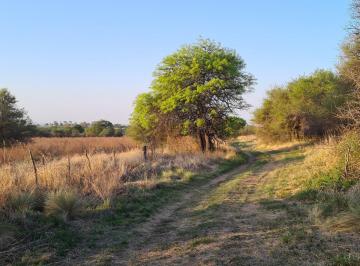 Campo · 33000m² · 38.4 Hectáreas - Campo en Anisacate - Sierras de Córdoba