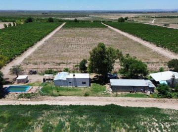 Campo , El Carrizal · Finca 55ha Carrizal del Medio, Cultivos y Pozos