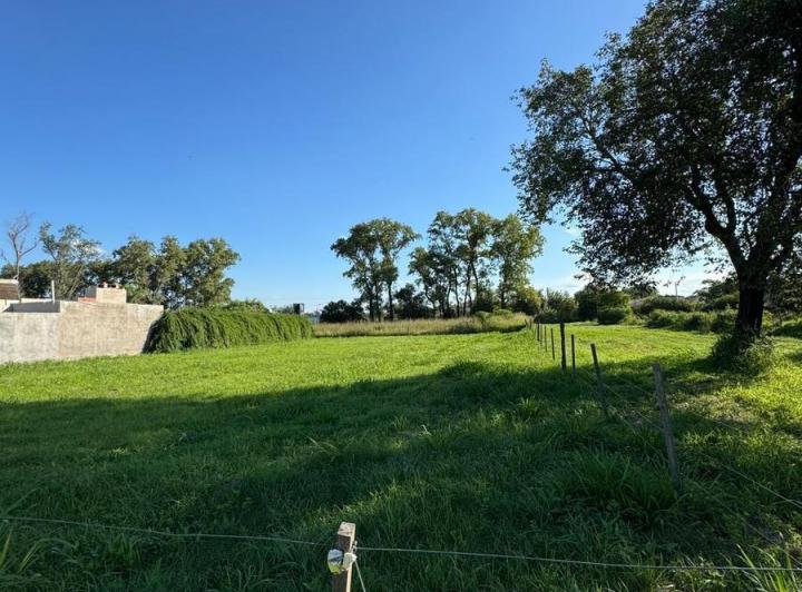 Terreno · 1053m²