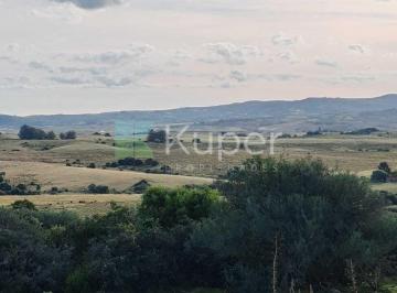 Campo · 75ha · Campo en Venta en Laguna Garzon