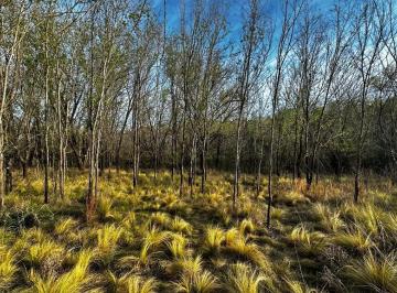 Terreno · 81093m² · Terreno a Minutos del Lago San Roque