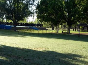 Terreno · 1100m² · 24 Ambientes · 10 Cocheras · Century21 López Vende Complejo Turístico en Tunuyán Mendoza