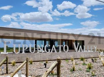 Terreno · 1000m² · Century 21 López Vende Lote en Tupungato Valley