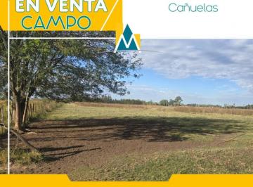 Campo · 160000m² · 1 Ambiente · Campo en Venta - Cañuelas