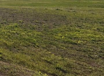 Terreno , Almirante Brown · Lote en Venta en Adrogué
