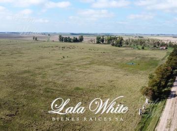 Terreno · 5430000m² · Campo de 543 Ha en San Vicente