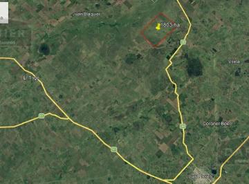 Campo · 1800 Ha en Las Flores