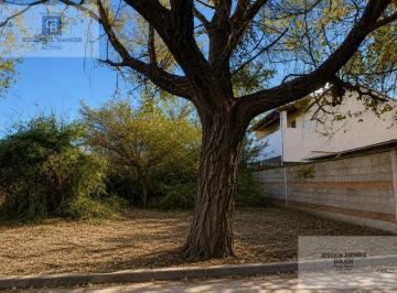 Terreno · 490m² · Venta Terreno Villa Rivera Indarte 490 m²