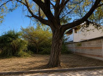 Terreno · 490m² · Venta Terreno Villa Rivera Indarte 490 m²