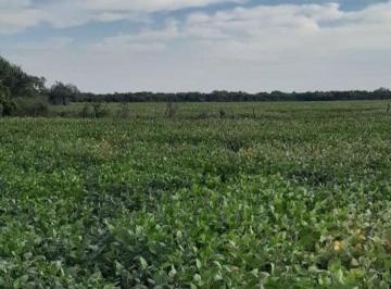 Campo · 3420000m² · Venta Campo Agricola 342 Ha