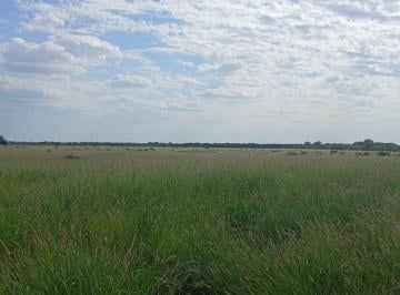Campo · 8760000ha · Venta Campo Mixto Serrezuela 876 Ha