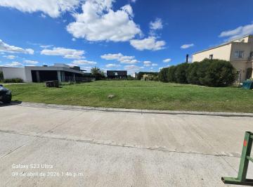 SAB-SAB-189_2 · Lote. | Area 5