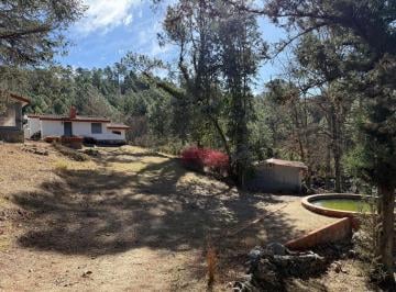 Campo · 200000m² · 7 Ambientes · Campo en El Durazno - Valle de Calamuchita 19 Hectáreas Acceso Al Río