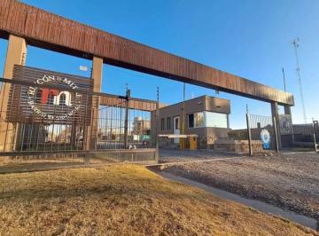 Terreno , Maipú · Lote Rincon de Mitre, Coquimbito, Maipu - Mendoza