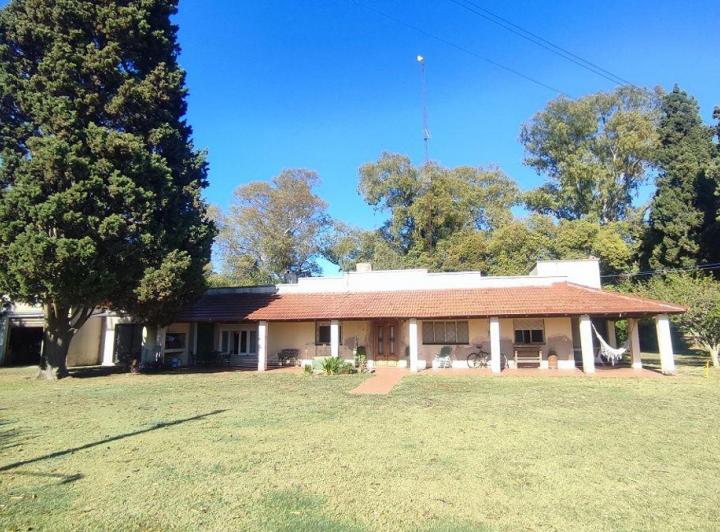Campo · 280ha
