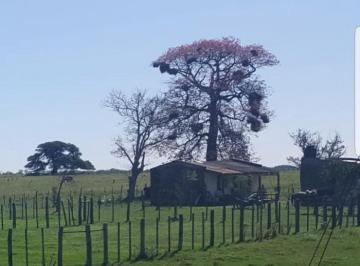Terreno , Ciudad de Santa Fe · Alquilo Campo