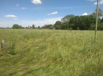 Terreno · 474m² · Venta 2 Lote 474 m² c/u - Pronunciamiento Entre Rios