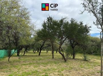 Terreno , Cerro de Oro · Venta de Terreno en Altos del Cerro, Merlolote Desmalezado a m de Ruta 1