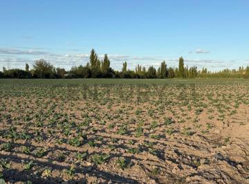 Terreno · 6m² · Century21 López Ofrece a La Venta Finca en Rodeo del Medio, Maipú.