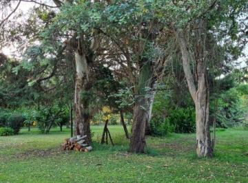 Terreno , La Plata · Dos Lotes en Venta | Abasto