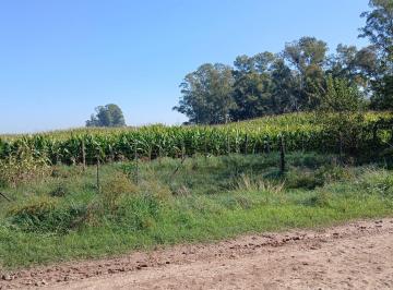 Campo · Campo en Marcos Paz