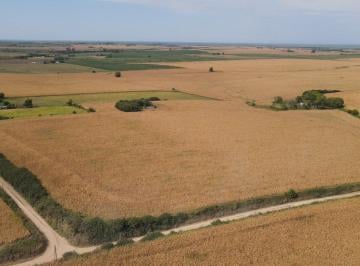Campo · 205000m² · Campo en Rincon del Doll - 20,5 Has con Casa y Mejoras