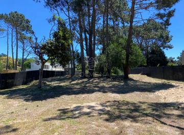 Foto1 · Terreno Beverly Hills