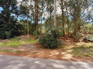 Foto1 · Terreno en Punta Ballena, Portezuelo Bosque