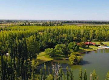 Campo · 651ha · 10 Ambientes · Histórica Finca en San Rafael Mendoza