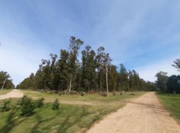 Terreno · 10000m² · Terreno en Venta - 10.000 m² - El Paraíso, Ramallo