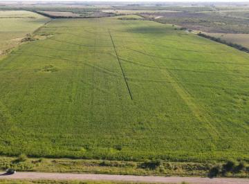 Campo , Rosario del Tala · 80 Hectáreas Agrícolas Rosario del Tala.