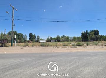 Terreno · 3500m² · Venta Terreno de 3.500 m² Calle 24 Añelo