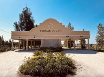 Terreno · 704m² · Lote en Venta - Fincas Joven - San Vicente