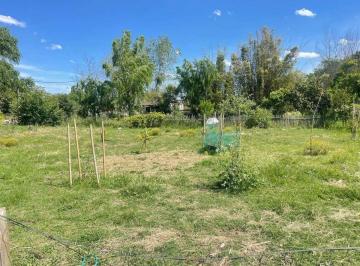 RDP-RD1-833_2 · Venta Terreno Rocha